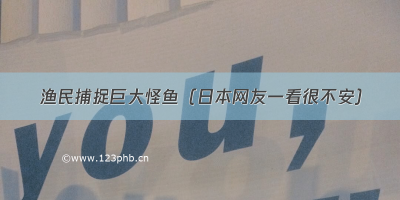 渔民捕捉巨大怪鱼（日本网友一看很不安）