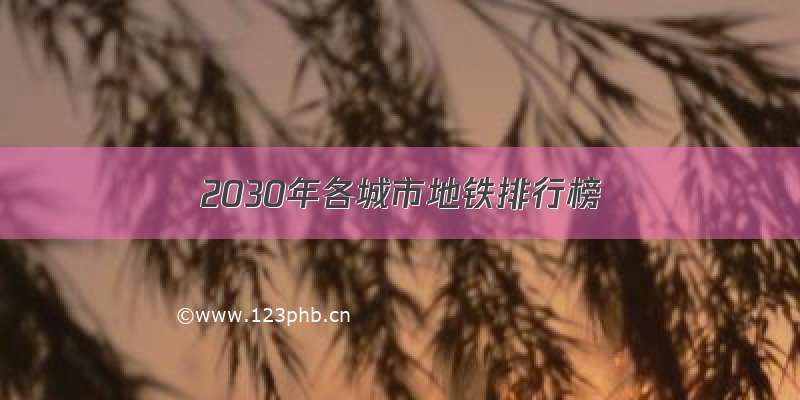 2030年各城市地铁排行榜