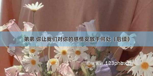 弟弟 你让我们对你的感情安放于何处（后续）