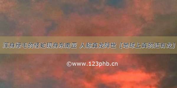 浑身绿毛的怪蛇现身东南亚 人称真龙降世（地球上真的还有龙）