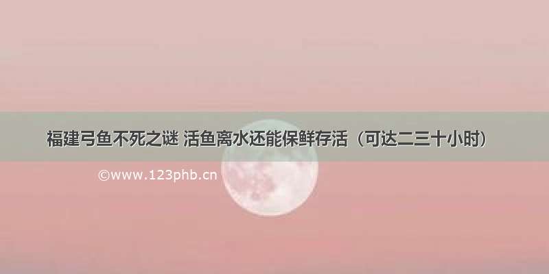 福建弓鱼不死之谜 活鱼离水还能保鲜存活（可达二三十小时）