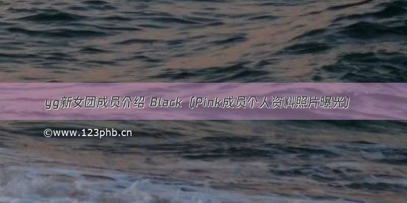 yg新女团成员介绍 Black（Pink成员个人资料照片曝光）