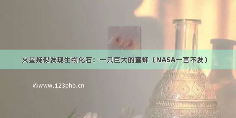 火星疑似发现生物化石：一只巨大的蜜蜂（NASA一言不发）