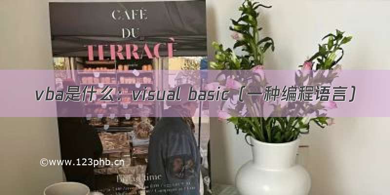 vba是什么：visual basic（一种编程语言）