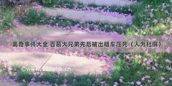 离奇事件大全 百慕大兄弟先后被出租车压死（人为杜撰）