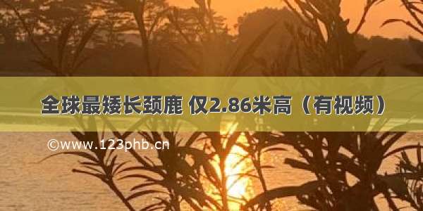 全球最矮长颈鹿 仅2.86米高（有视频）