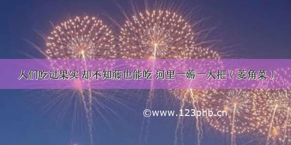 人们吃过果实 却不知藤也能吃 河里一薅一大把（菱角菜）