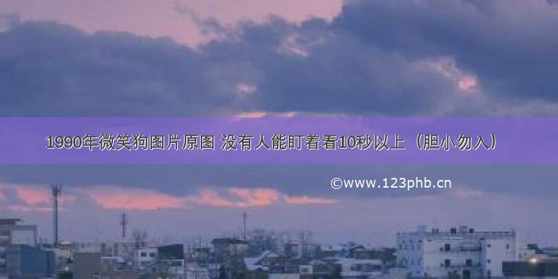 1990年微笑狗图片原图 没有人能盯着看10秒以上（胆小勿入）