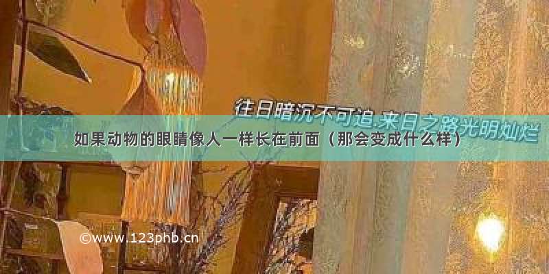 如果动物的眼睛像人一样长在前面（那会变成什么样）