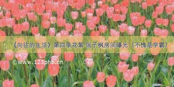 《向往的生活》第四季花絮 张子枫房间曝光（不愧是学霸）