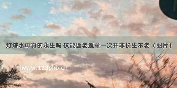 灯塔水母真的永生吗 仅能返老返童一次并非长生不老（图片）