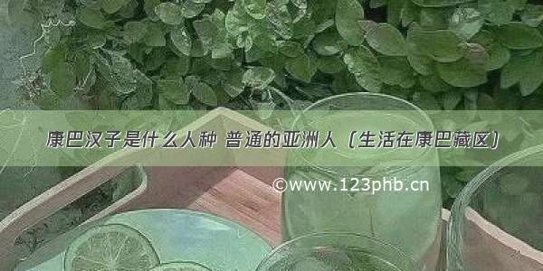 康巴汉子是什么人种 普通的亚洲人（生活在康巴藏区）