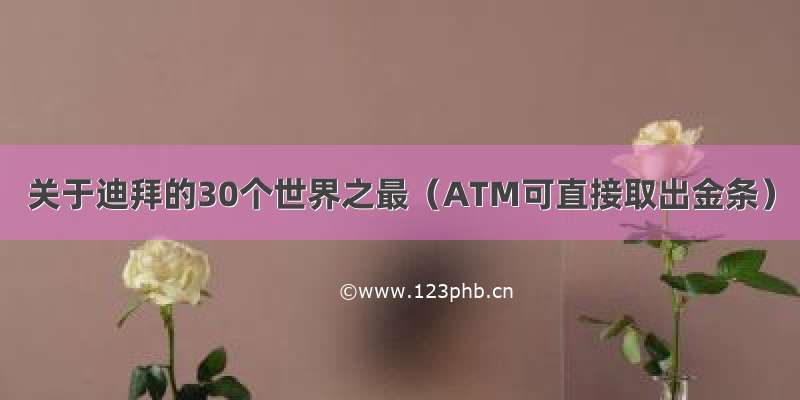 关于迪拜的30个世界之最（ATM可直接取出金条）