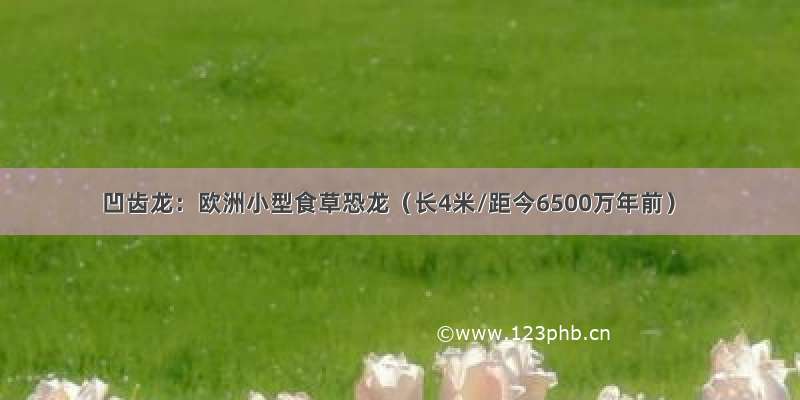 凹齿龙：欧洲小型食草恐龙（长4米/距今6500万年前）