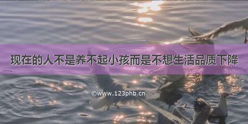 现在的人不是养不起小孩而是不想生活品质下降