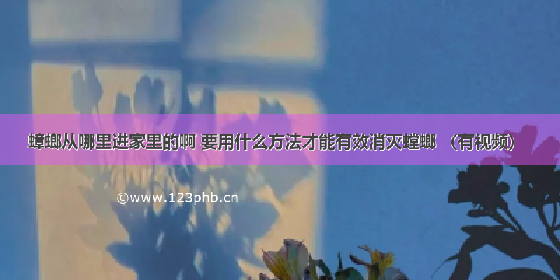 蟑螂从哪里进家里的啊 要用什么方法才能有效消灭螳螂 （有视频）