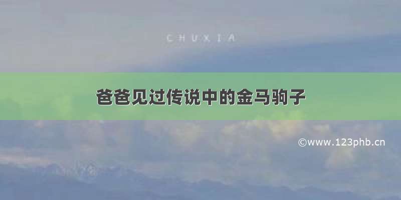 爸爸见过传说中的金马驹子