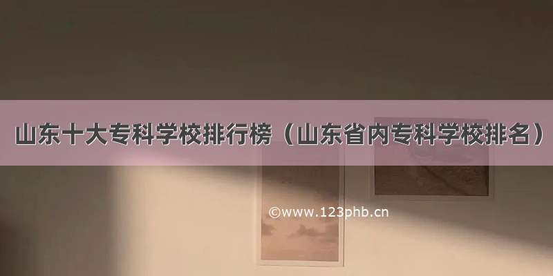 山东十大专科学校排行榜（山东省内专科学校排名）