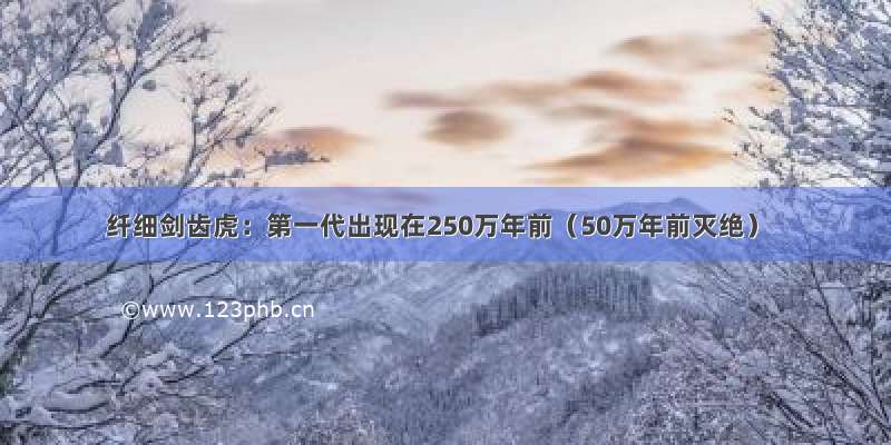 纤细剑齿虎：第一代出现在250万年前（50万年前灭绝）