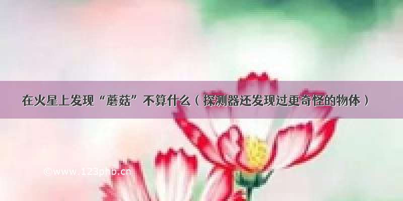 在火星上发现“蘑菇”不算什么（探测器还发现过更奇怪的物体）