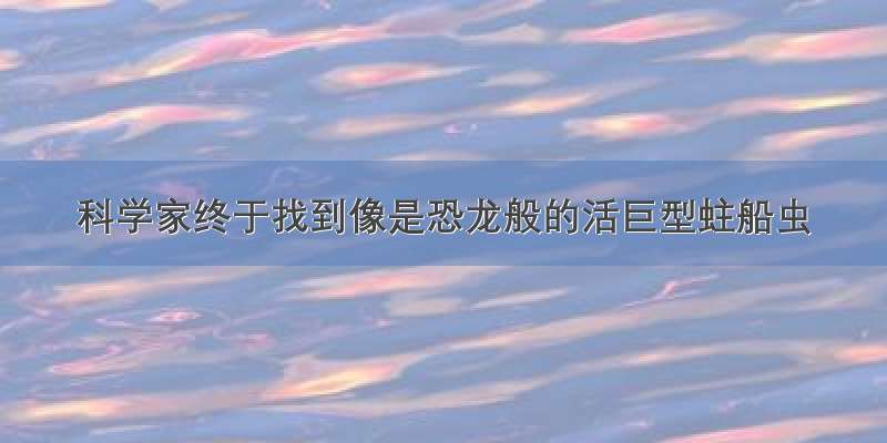 科学家终于找到像是恐龙般的活巨型蛀船虫