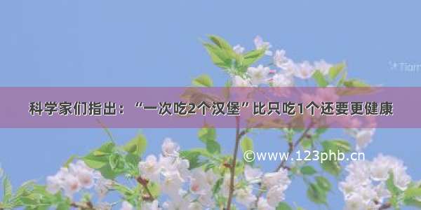 科学家们指出：“一次吃2个汉堡”比只吃1个还要更健康