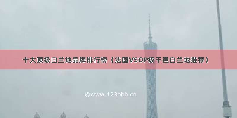 十大顶级白兰地品牌排行榜（法国VSOP级干邑白兰地推荐）