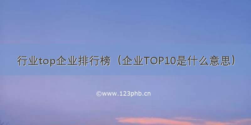 行业top企业排行榜（企业TOP10是什么意思）