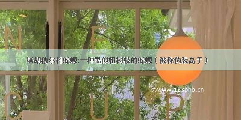 塔胡穆尔科蝾螈:一种酷似粗树枝的蝾螈（被称伪装高手）