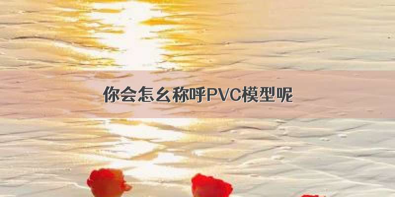 你会怎幺称呼PVC模型呢