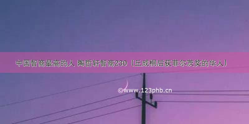 中国智商最高的人 陶哲轩智商230（丘成桐后获菲尔茨奖的华人）