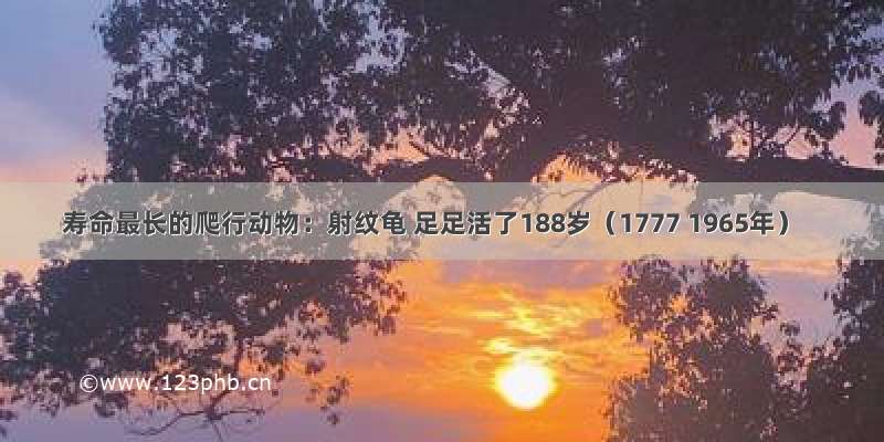 寿命最长的爬行动物：射纹龟 足足活了188岁（1777 1965年）