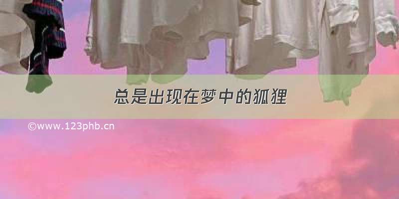 总是出现在梦中的狐狸