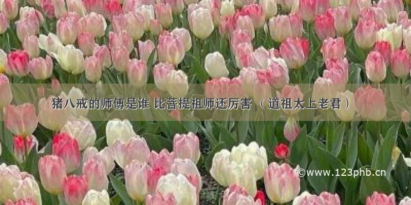 猪八戒的师傅是谁 比菩提祖师还厉害 （道祖太上老君）