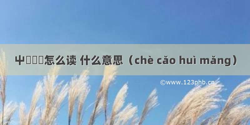 屮艸芔茻怎么读 什么意思（chè cǎo huì mǎng）