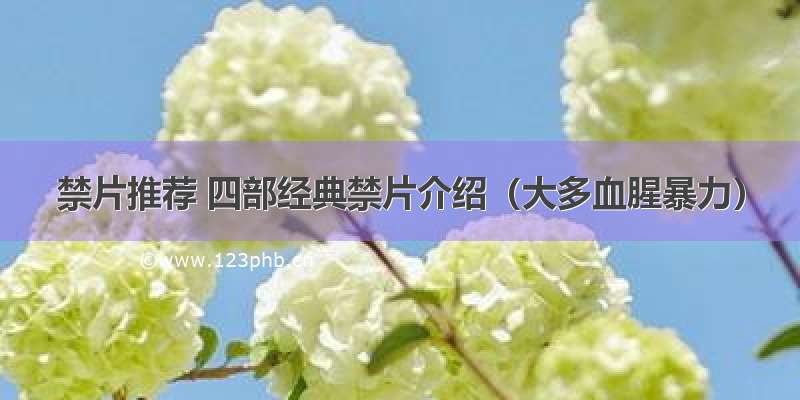 禁片推荐 四部经典禁片介绍（大多血腥暴力）