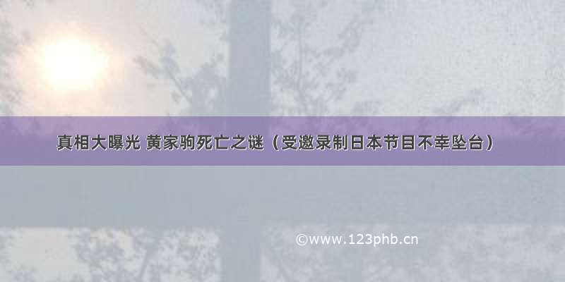 真相大曝光 黄家驹死亡之谜（受邀录制日本节目不幸坠台）