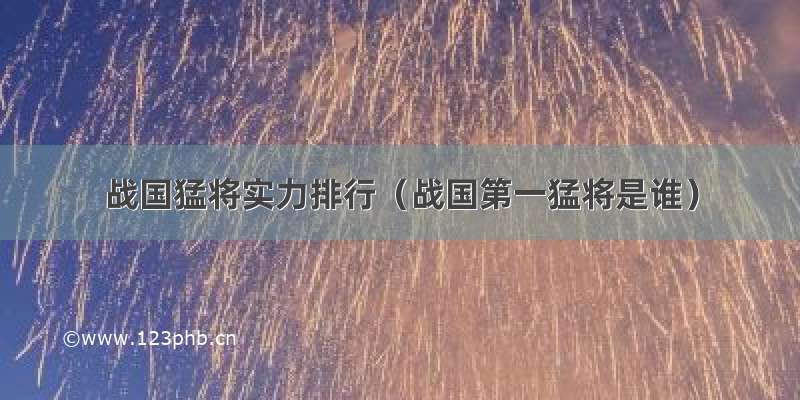 战国猛将实力排行（战国第一猛将是谁）