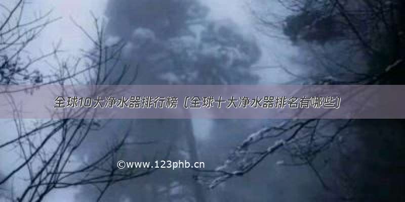 全球10大净水器排行榜（全球十大净水器排名有哪些）