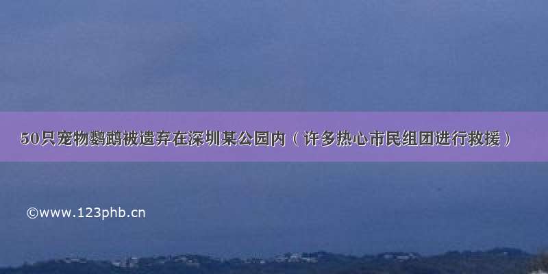 50只宠物鹦鹉被遗弃在深圳某公园内（许多热心市民组团进行救援）