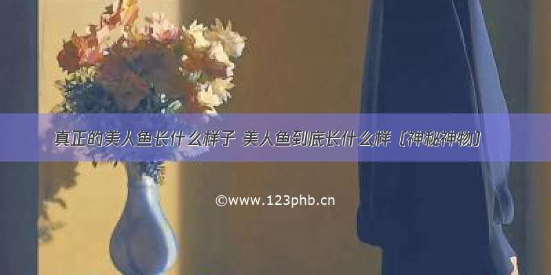 真正的美人鱼长什么样子 美人鱼到底长什么样（神秘神物）