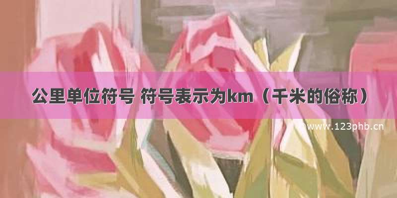 公里单位符号 符号表示为km（千米的俗称）