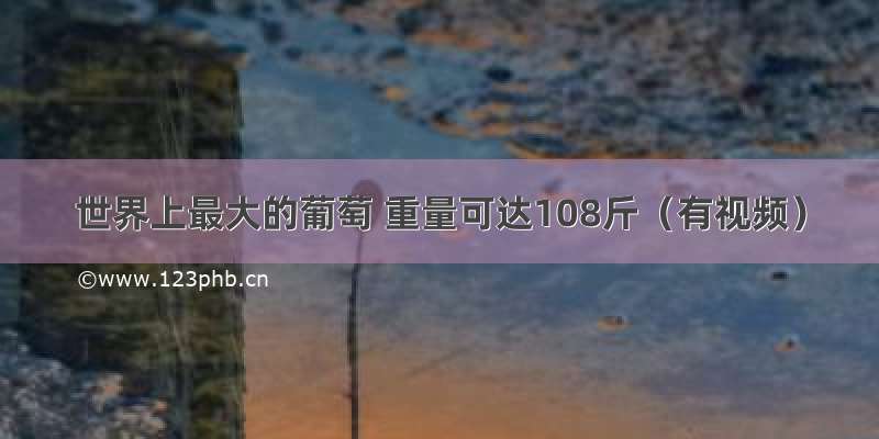 世界上最大的葡萄 重量可达108斤（有视频）