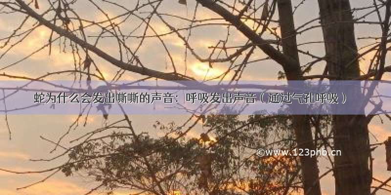 蛇为什么会发出嘶嘶的声音：呼吸发出声音（通过气孔呼吸）