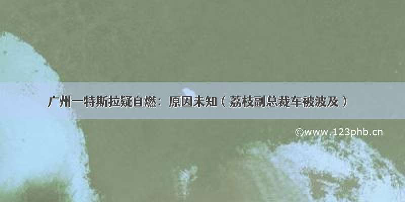 广州一特斯拉疑自燃：原因未知（荔枝副总裁车被波及）