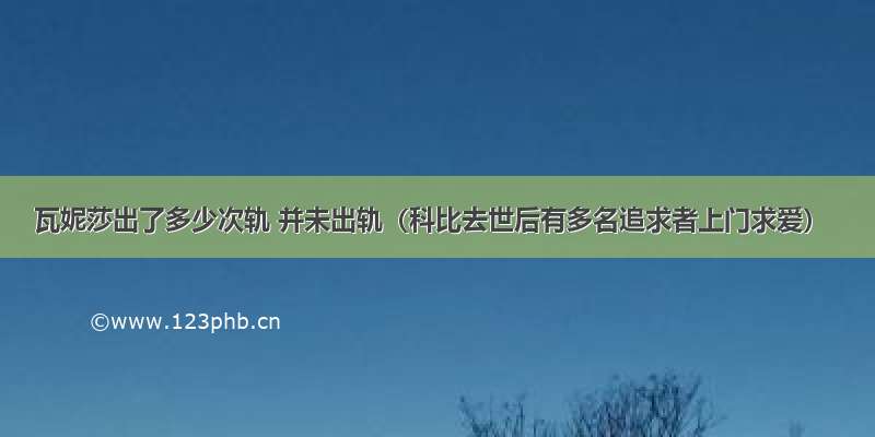 瓦妮莎出了多少次轨 并未出轨（科比去世后有多名追求者上门求爱）