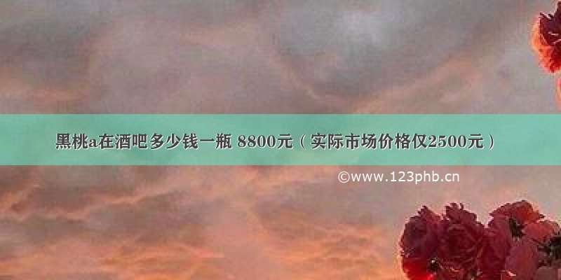 黑桃a在酒吧多少钱一瓶 8800元（实际市场价格仅2500元）