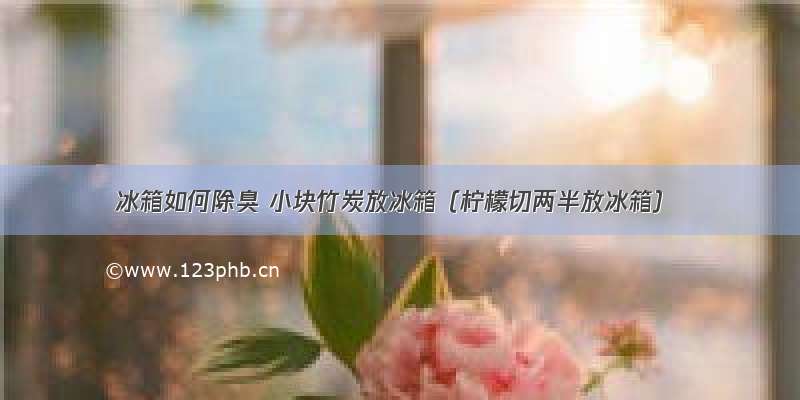 冰箱如何除臭 小块竹炭放冰箱（柠檬切两半放冰箱）