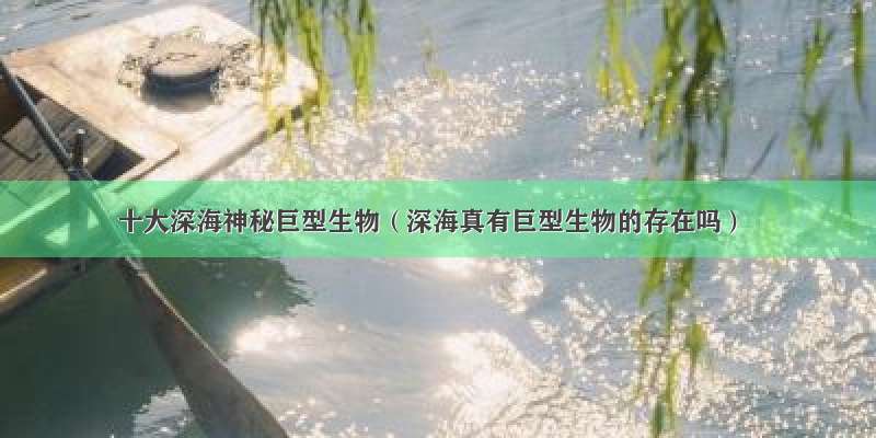 十大深海神秘巨型生物（深海真有巨型生物的存在吗）