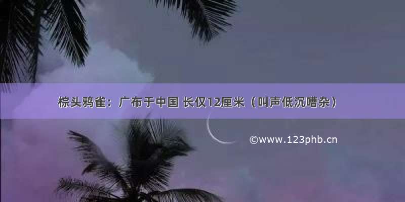 棕头鸦雀：广布于中国 长仅12厘米（叫声低沉嘈杂）